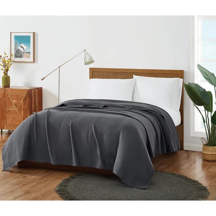 FRYE FRYE Cotton Woven Blanket