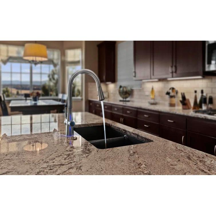 AquaNuTech Pull Down Touch Kitchen Faucet