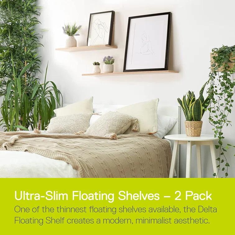 Delta Design 2 Piece Wall Shelf Set (Set of 2)
