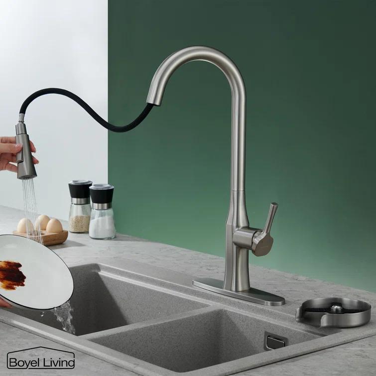 Boyel Living Pull Down Kitchen Faucet