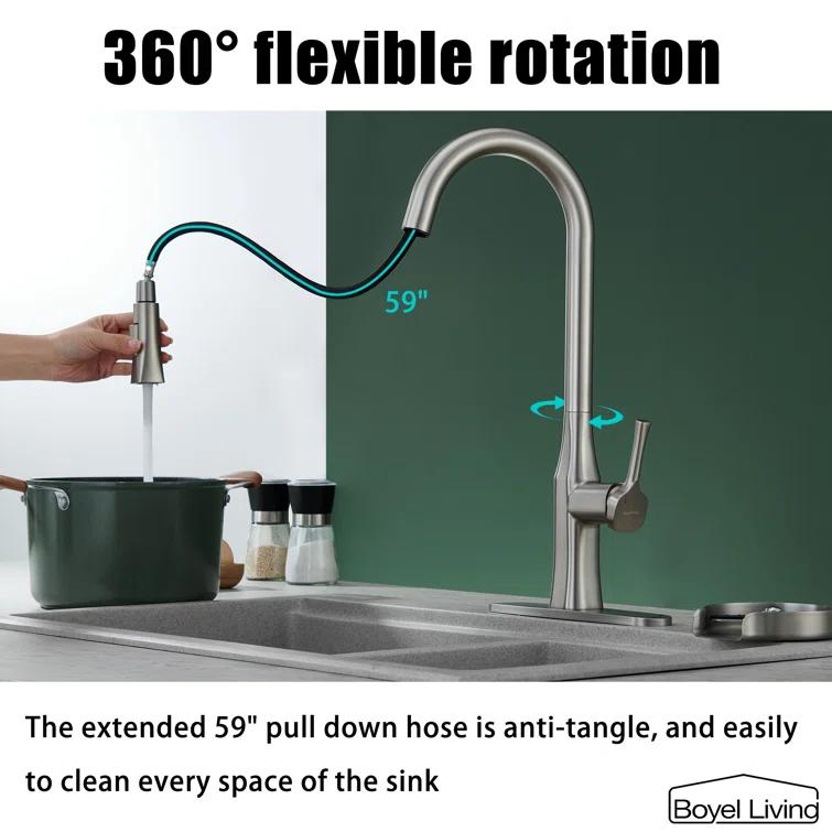 Boyel Living Pull Down Kitchen Faucet