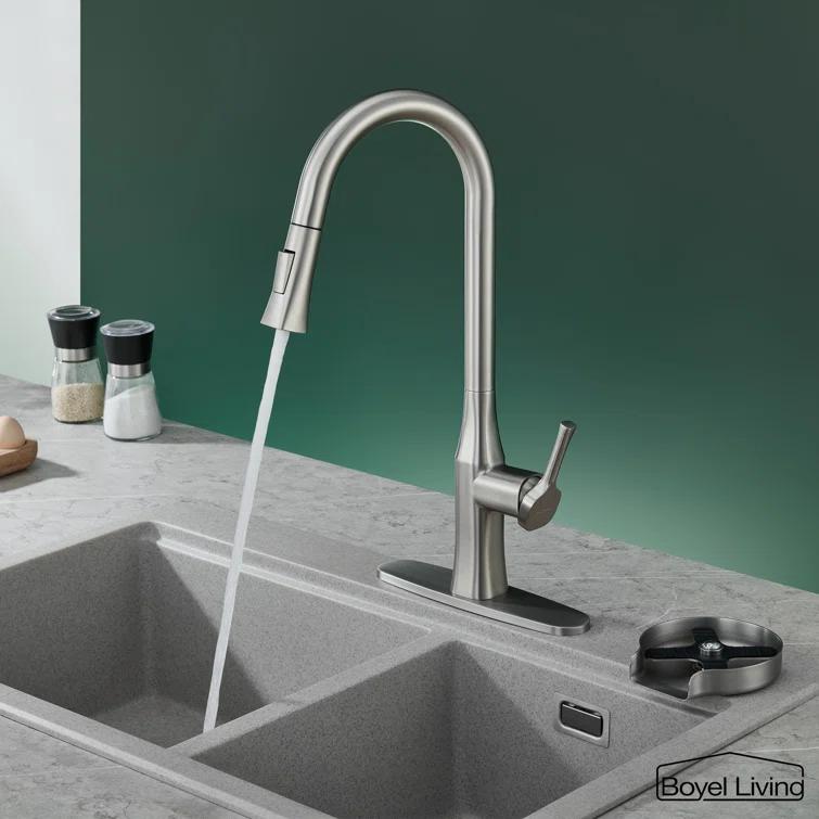 Boyel Living Pull Down Kitchen Faucet