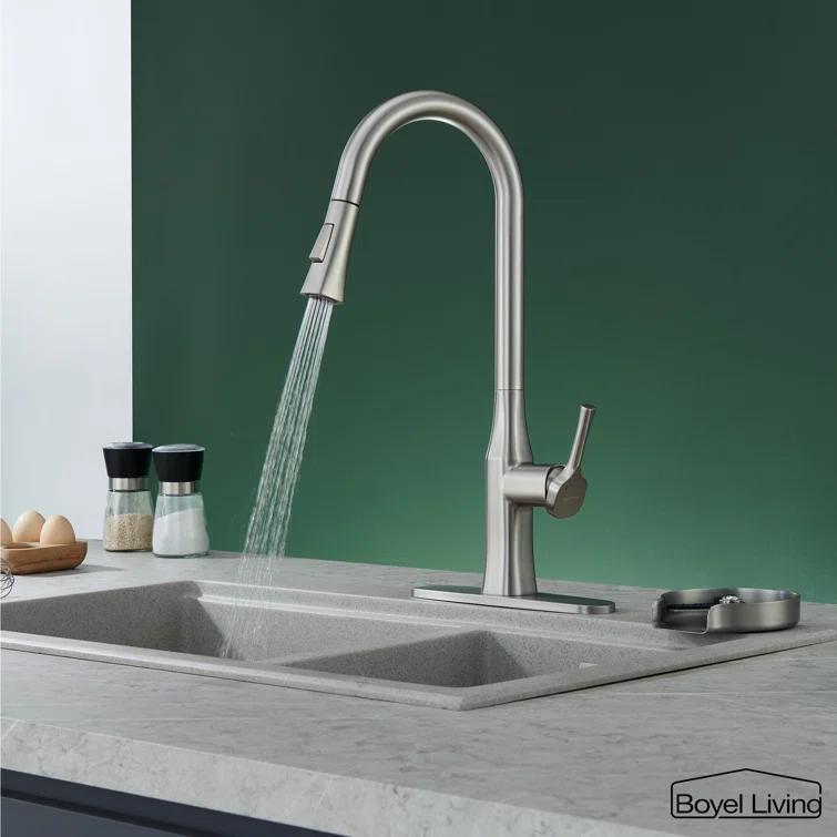 Boyel Living Pull Down Kitchen Faucet