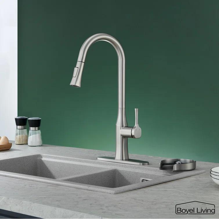 Boyel Living Pull Down Kitchen Faucet