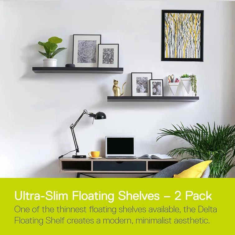 Delta Design 2 Piece Wall Shelf Set (Set of 2)