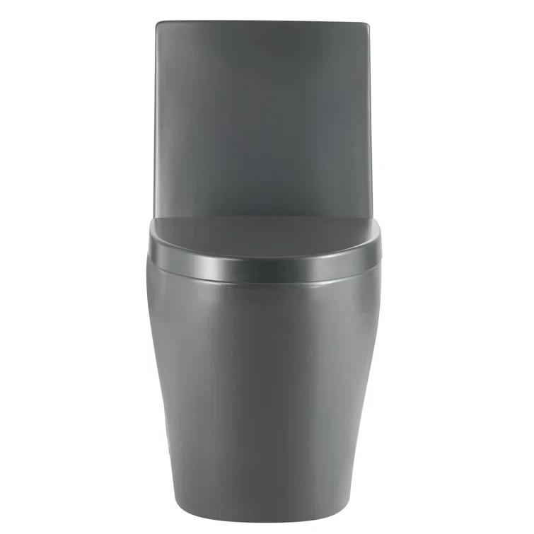 Dual-Flush Elongated One-Piece Toilet with High Efficiency Flush