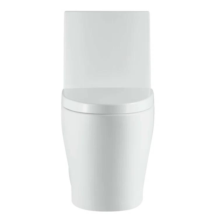 Dual-Flush Elongated One-Piece Toilet with High Efficiency Flush