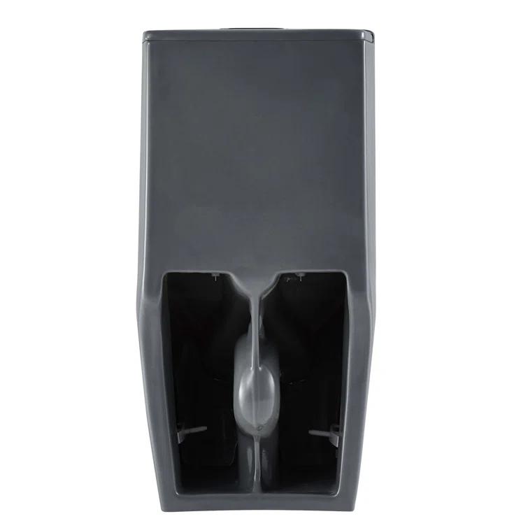 Dual-Flush Elongated One-Piece Toilet with High Efficiency Flush