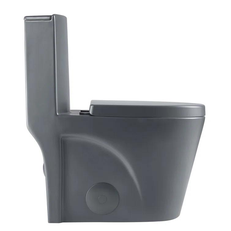 Dual-Flush Elongated One-Piece Toilet with High Efficiency Flush