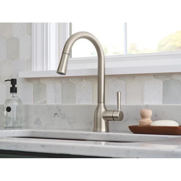Adler Pull Down Single Handle Kitchen Faucet with Accessories