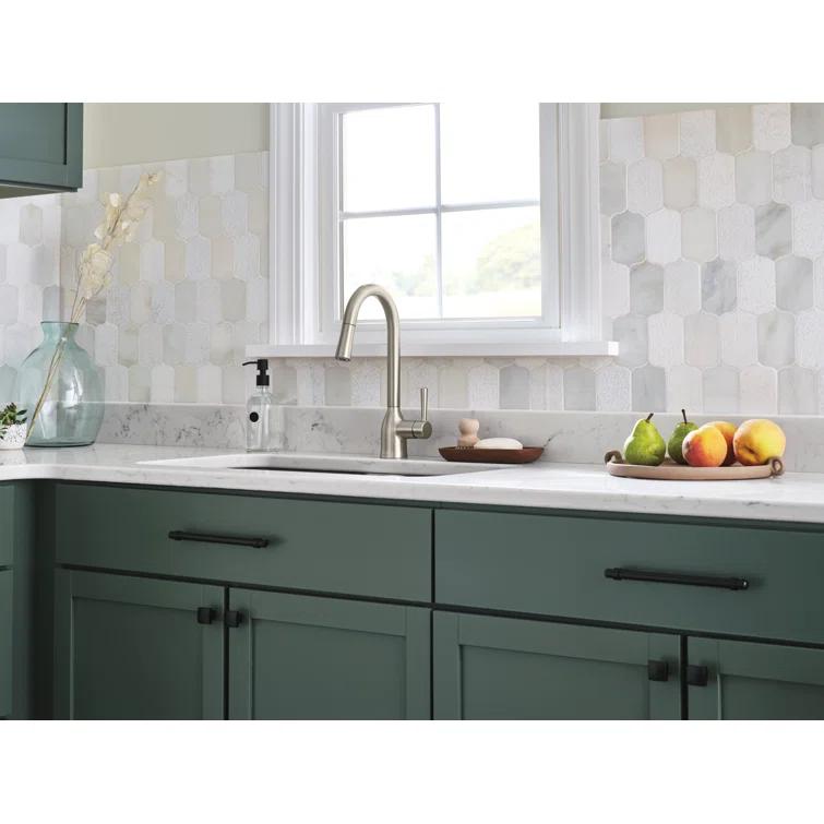 Adler Pull Down Single Handle Kitchen Faucet with Accessories