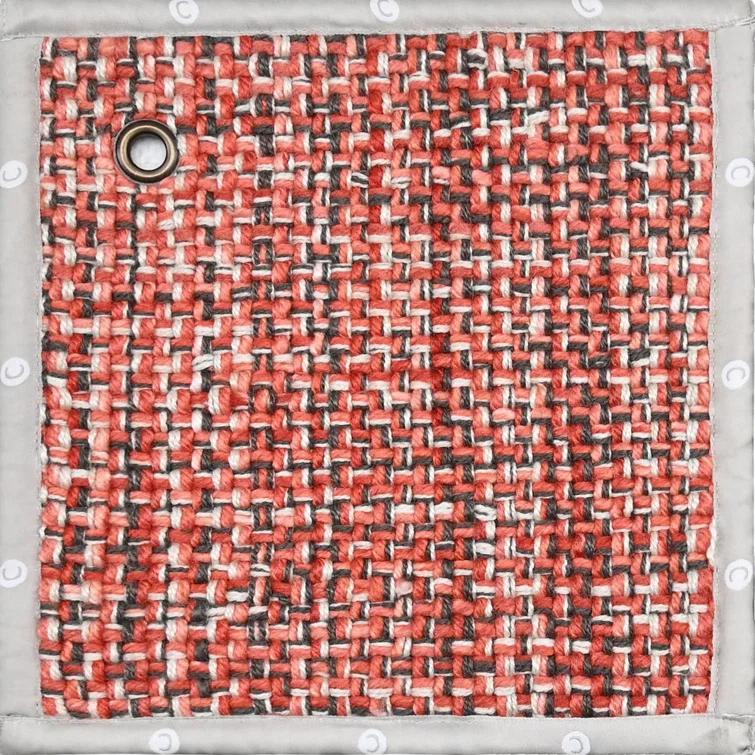 Morris Hand Woven Polyester Indoor/Outdoor Area Rug in Coral/Gray