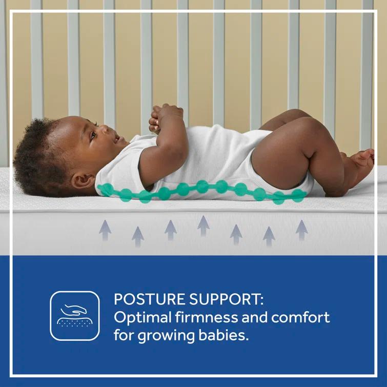 Sealy Baby Premium Firm Hypoallergenic Baby Crib Mattress & Toddler Bed Mattress, Waterproof Baby Mattress, 150 Coils, Air Quality Certified, 52"x28"