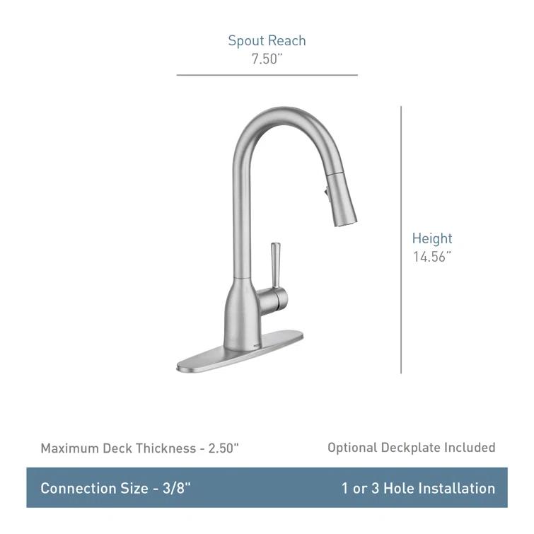 Adler Pull Down Single Handle Kitchen Faucet with Accessories