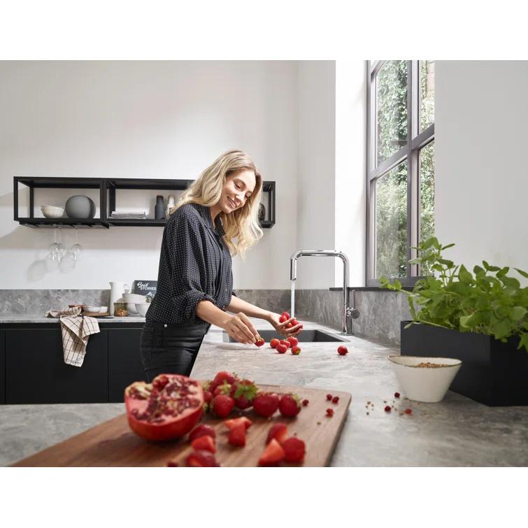 hansgrohe Talis N Kitchen Faucet, U-Style 1-Spray, 1.75 GPM