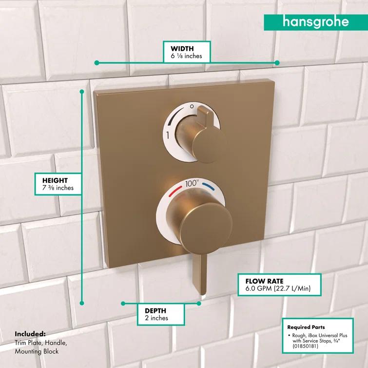 Ecostat Thermostatic Shower Faucet Trim