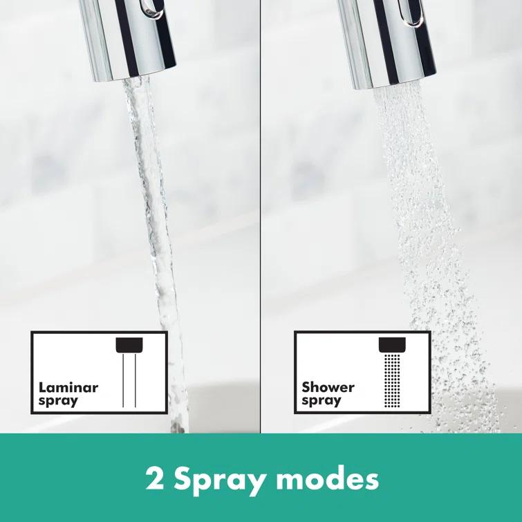 Focus N Prep Kitchen Faucet with 2-Spray Pull-Down, 1.75 GPM