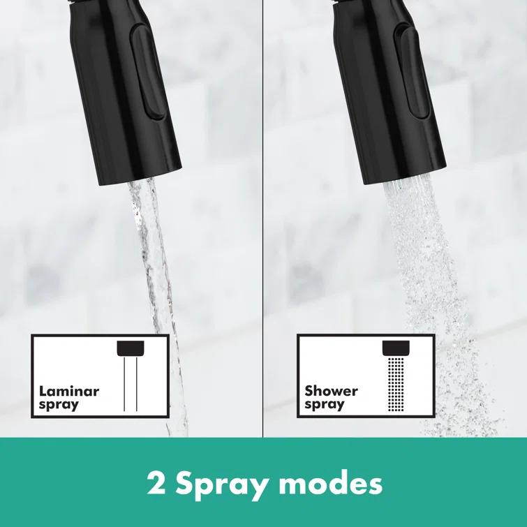 Focus N Prep Kitchen Faucet with 2-Spray Pull-Down, 1.75 GPM