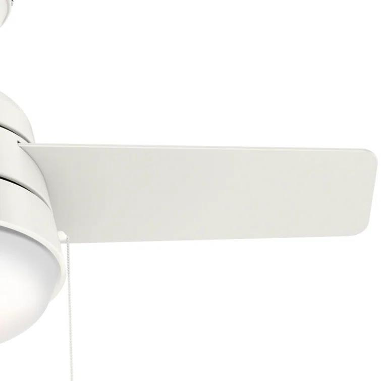 Aker 36" 3 - Blade Standard Ceiling Fan with Lights and Pull Chains