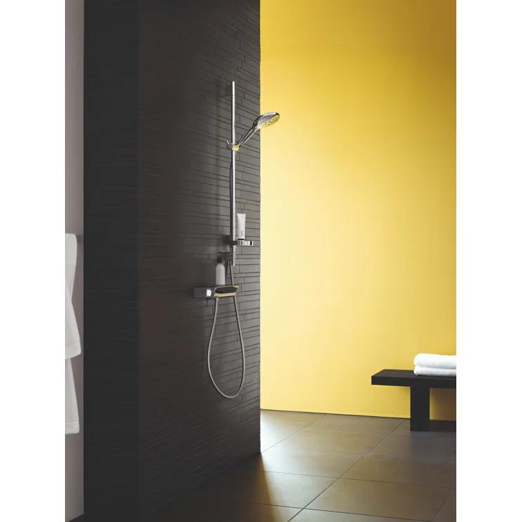 Raindance Handheld Shower Head