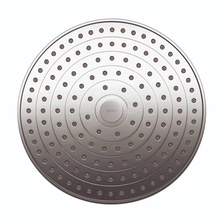 Raindance Select S 240 Showerhead in Chrome