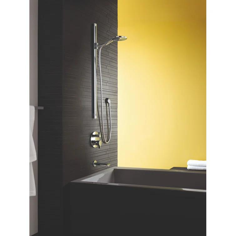 Raindance Handheld Shower Head