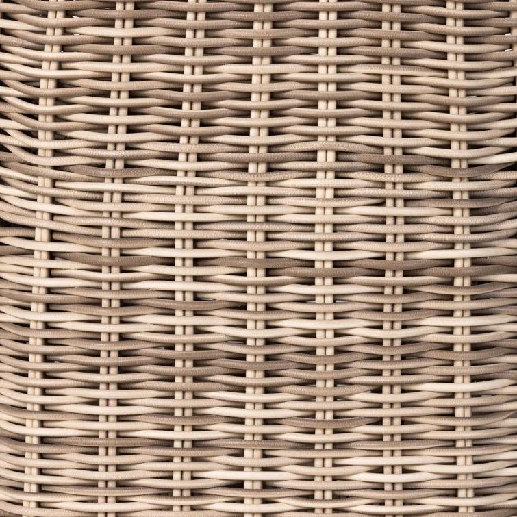 Dalva Polyethylene (PE) Wicker Wicker Outdoor Dining Side Chair with Cushion