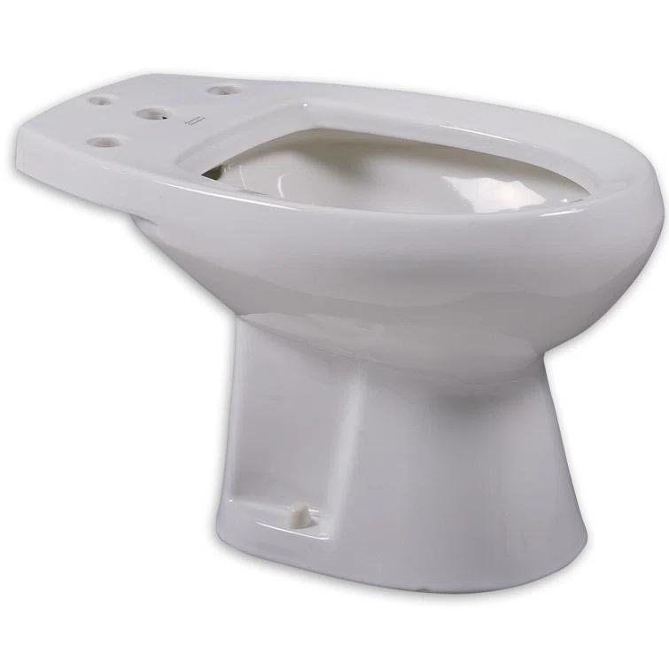 Cadet Elongated Floor Mount Bidet