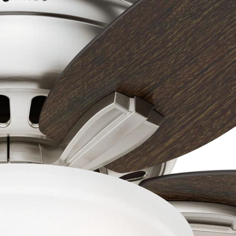 Newsome 42" 5 - Blade Traditional Flush Mount Indoor Ceiling Fan with Lights and Pull Chains
