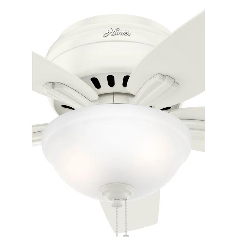 Newsome 42" 5 - Blade Traditional Flush Mount Indoor Ceiling Fan with Lights and Pull Chains