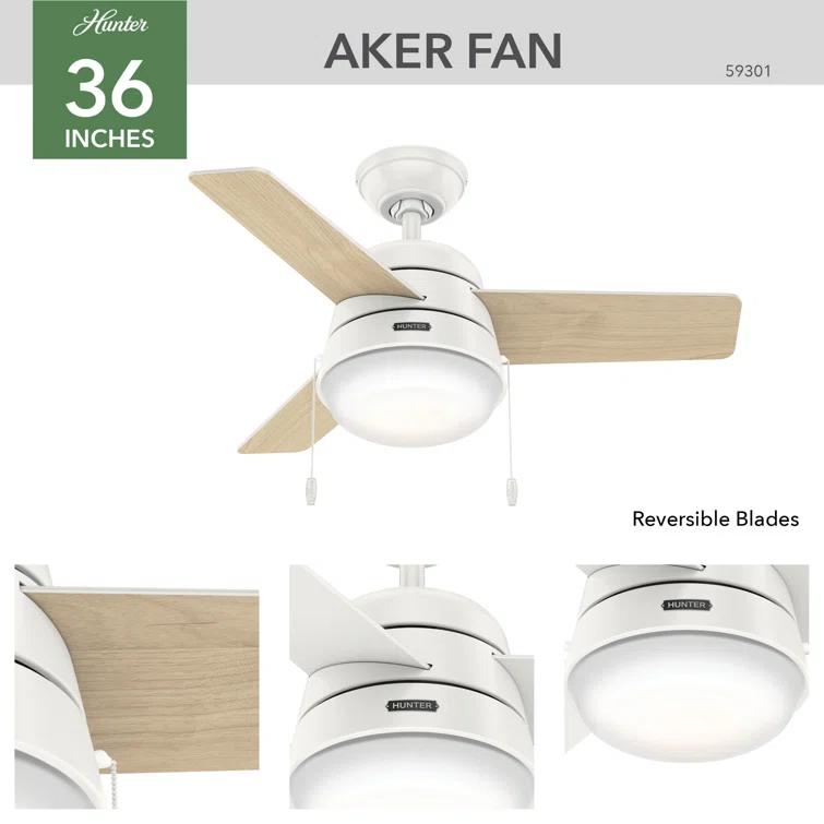 Aker 36" 3 - Blade Standard Ceiling Fan with Lights and Pull Chains