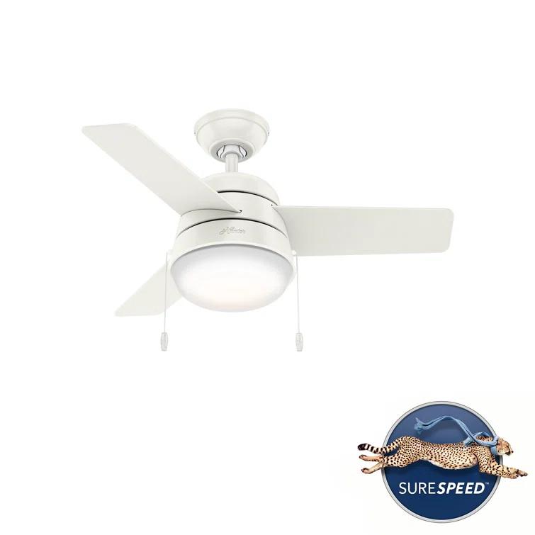 Aker 36" 3 - Blade Standard Ceiling Fan with Lights and Pull Chains
