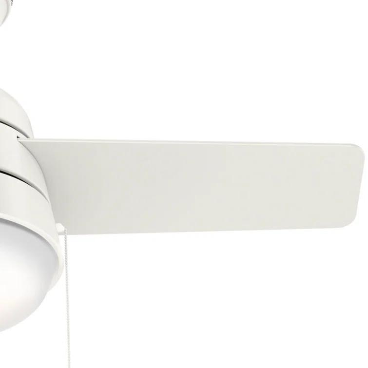 Aker 36" 3 - Blade Standard Ceiling Fan with Lights and Pull Chains