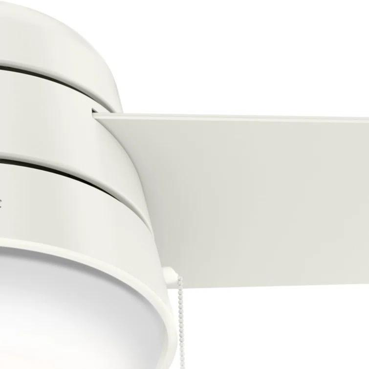 Aker 36" 3 - Blade Standard Ceiling Fan with Lights and Pull Chains