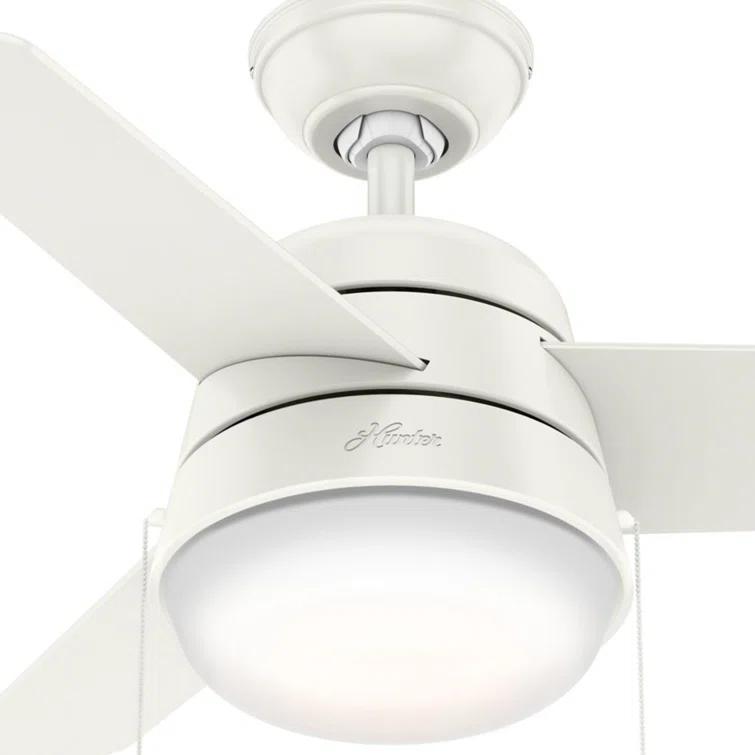 Aker 36" 3 - Blade Standard Ceiling Fan with Lights and Pull Chains