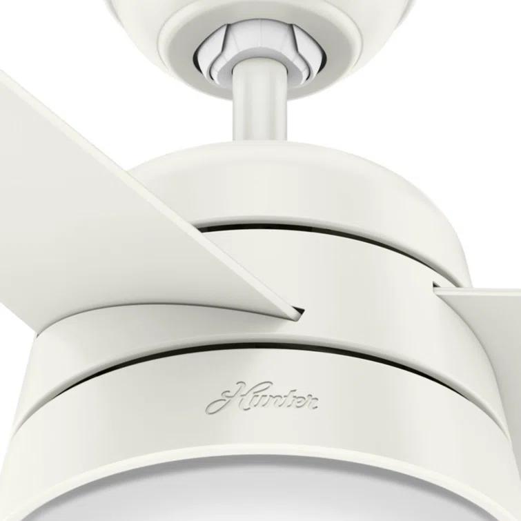 Aker 36" 3 - Blade Standard Ceiling Fan with Lights and Pull Chains