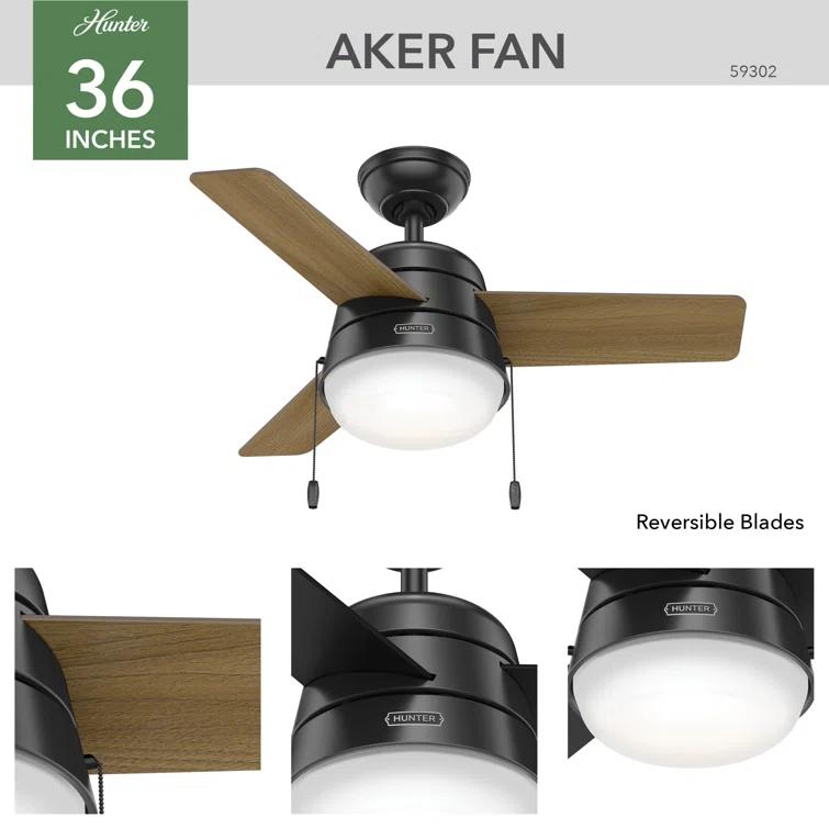 Aker 36" 3 - Blade Standard Ceiling Fan with Lights and Pull Chains