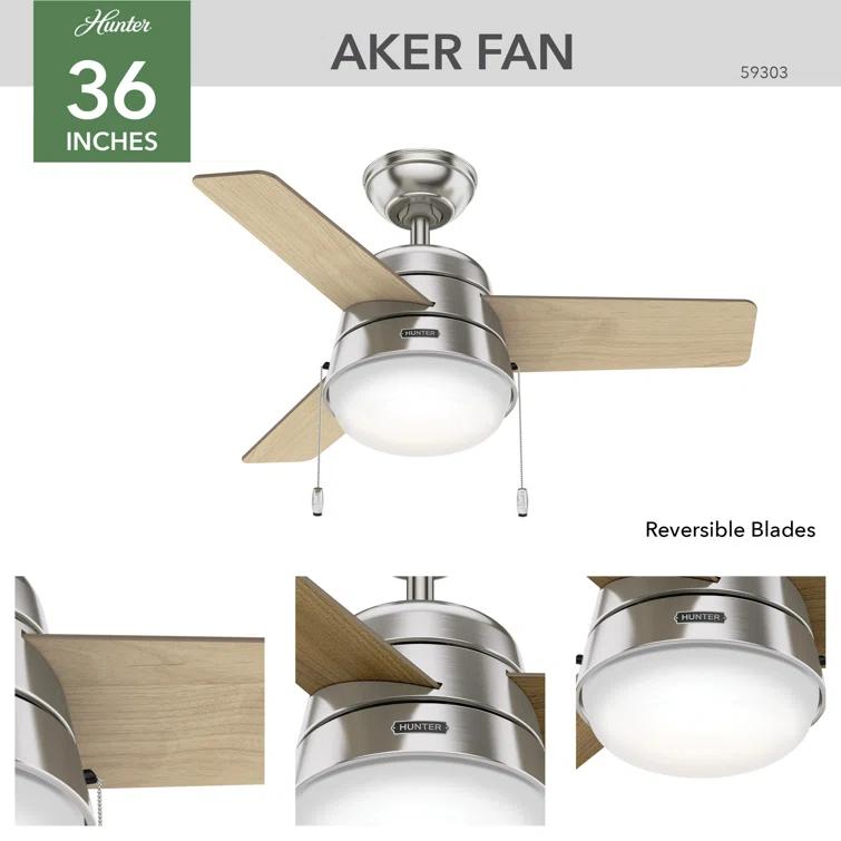 Aker 36" 3 - Blade Standard Ceiling Fan with Lights and Pull Chains