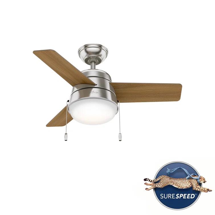 Aker 36" 3 - Blade Standard Ceiling Fan with Lights and Pull Chains