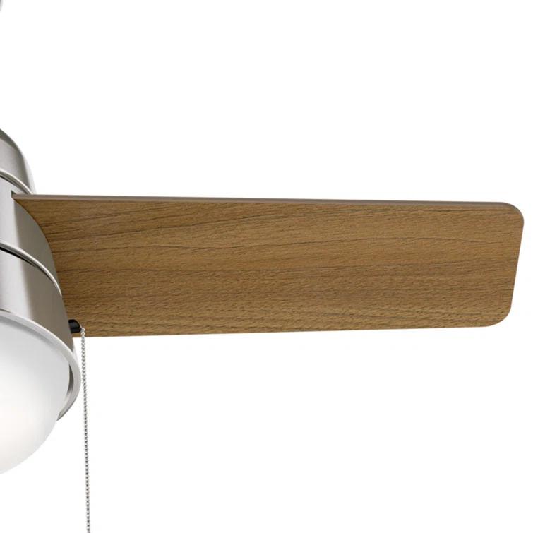 Aker 36" 3 - Blade Standard Ceiling Fan with Lights and Pull Chains