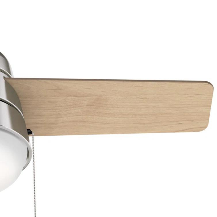 Aker 36" 3 - Blade Standard Ceiling Fan with Lights and Pull Chains