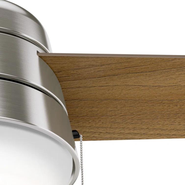 Aker 36" 3 - Blade Standard Ceiling Fan with Lights and Pull Chains