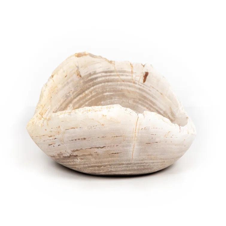 Noki Petrified Wood Bowl