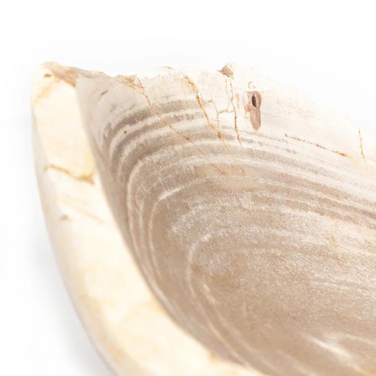 Noki Petrified Wood Bowl