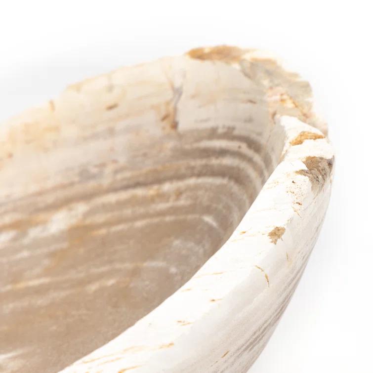 Noki Petrified Wood Bowl