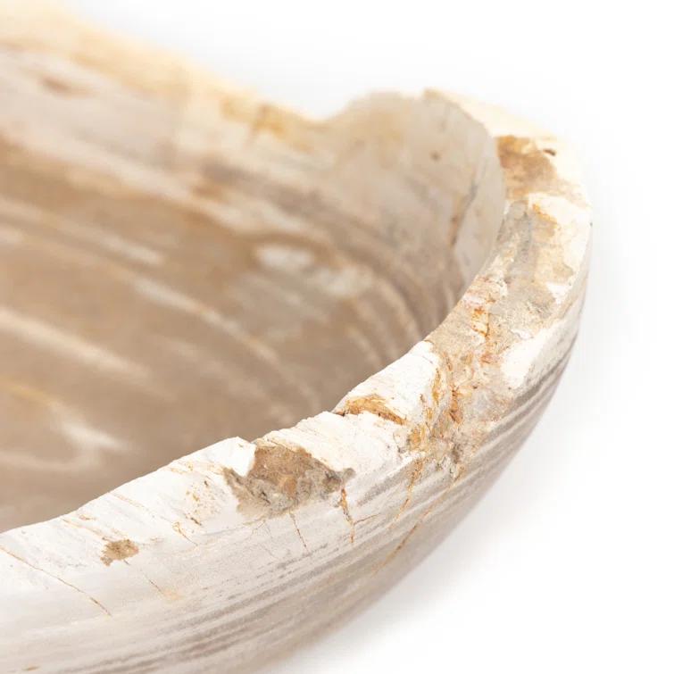 Noki Petrified Wood Bowl