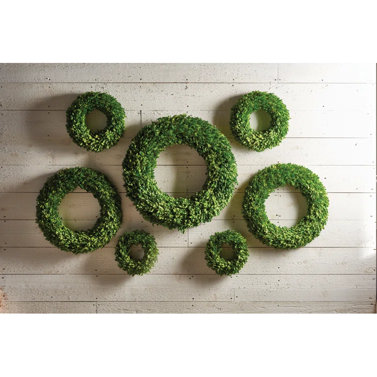 Plum & Post Boxwood Wreath 12"