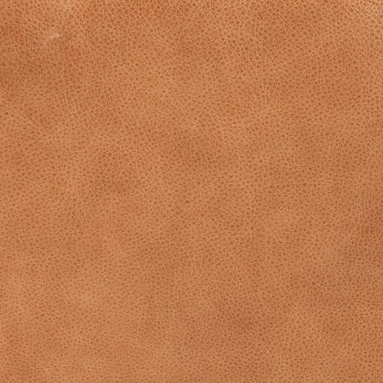 Bronwyn Almond Genuine Leather Swivel Side Chair