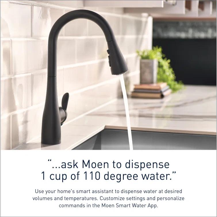 Arbor Single Handle Kitchen Faucet