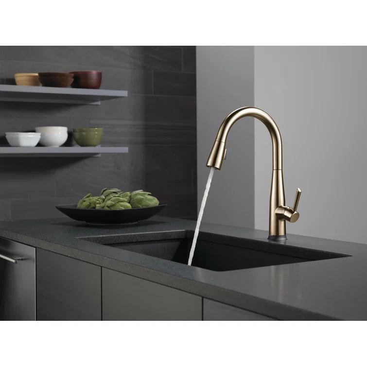 Essa Pull Down Single Handle Kitchen Faucet with MagnaTite Docking and Touch2O Technology